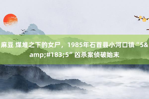 麻豆 煤堆之下的女尸，1985年石首县小河口镇“5&#183;5”凶杀案侦破始末