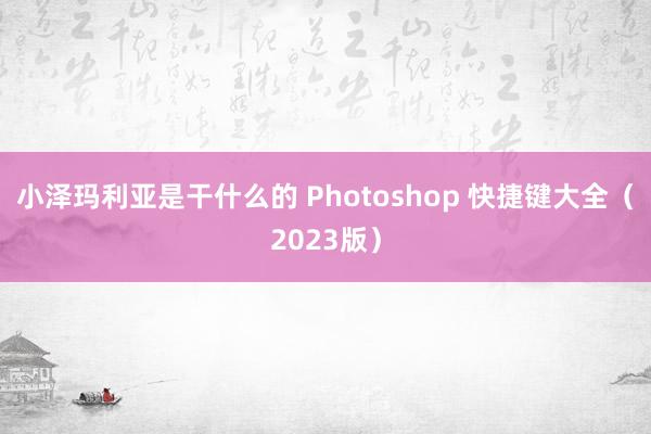 小泽玛利亚是干什么的 Photoshop 快捷键大全（2023版）