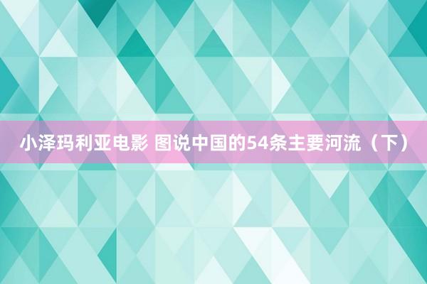 小泽玛利亚电影 图说中国的54条主要河流（下）