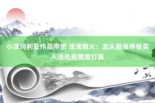 小泽玛利亚作品带图 浅浅烟火：龙头股涨停板买入法选股臆度打算