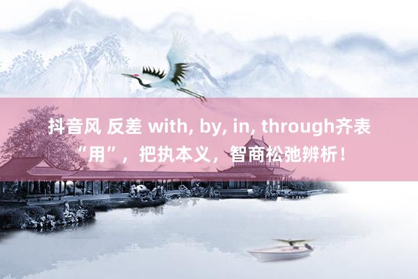 抖音风 反差 with， by， in， through齐表“用”，把执本义，智商松弛辨析！