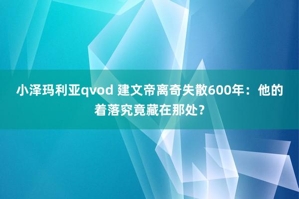 小泽玛利亚qvod 建文帝离奇失散600年：他的着落究竟藏在那处？
