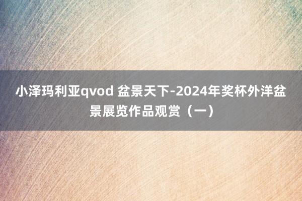 小泽玛利亚qvod 盆景天下-2024年奖杯外洋盆景展览作品观赏（一）