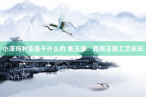 小泽玛利亚是干什么的 集玉录：西周玉器工艺抚玩