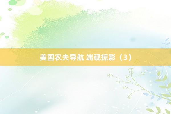 美国农夫导航 端砚掠影（3）